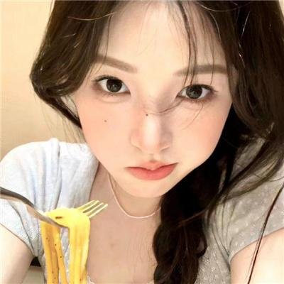 企鹅之岛：福克兰